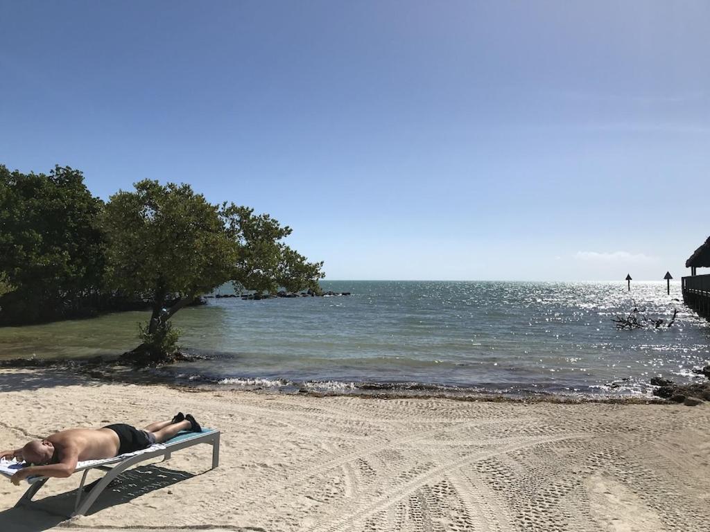 Tropical Daze Oceanfront Paradise Tavernier Bagian luar foto