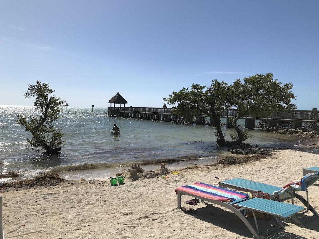 Tropical Daze Oceanfront Paradise Tavernier Bagian luar foto